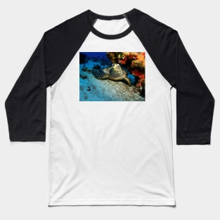 Hawksbill Turtle Under A Coral Ledge Baseball T-Shirt